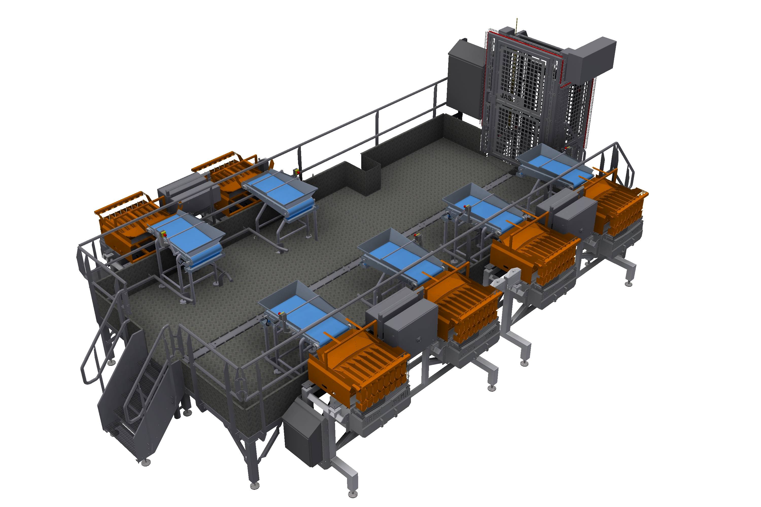 Solution; Weighing and packing of mixed, fresh, cut fruits in trays