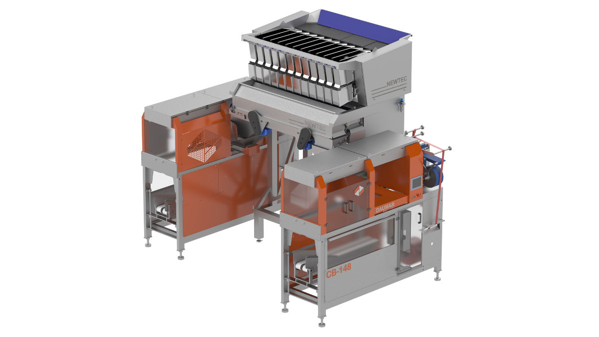Solution; Weighing and packing of oranges in nets